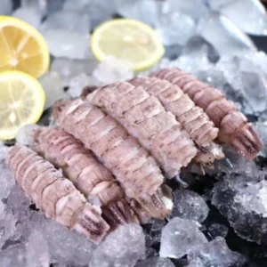 frozen Mantis Prawn Meat /速冻大白本地虾蛄肉 （500g per pack )